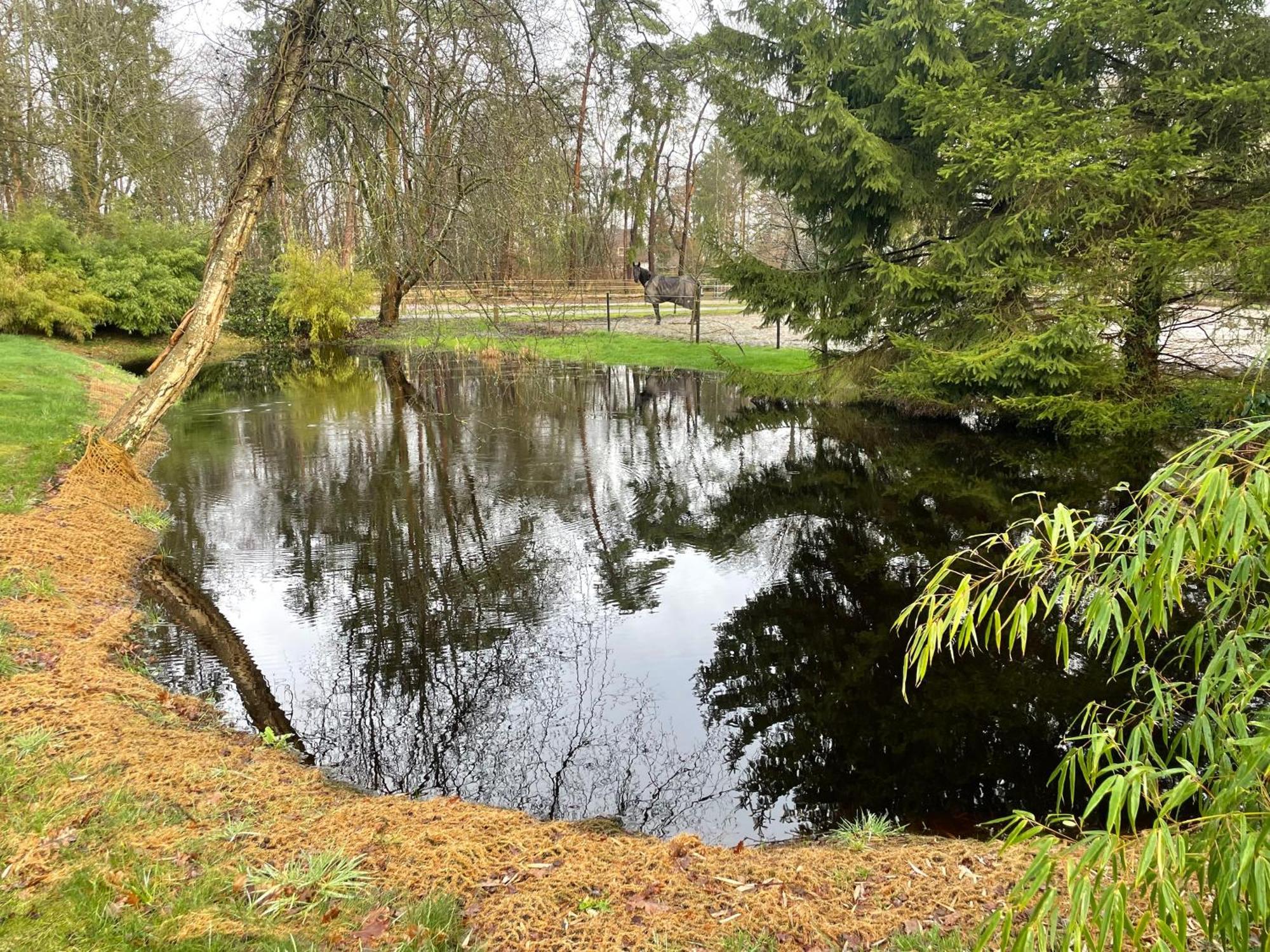 Haus Am Teich Apartment Worpswede Luaran gambar