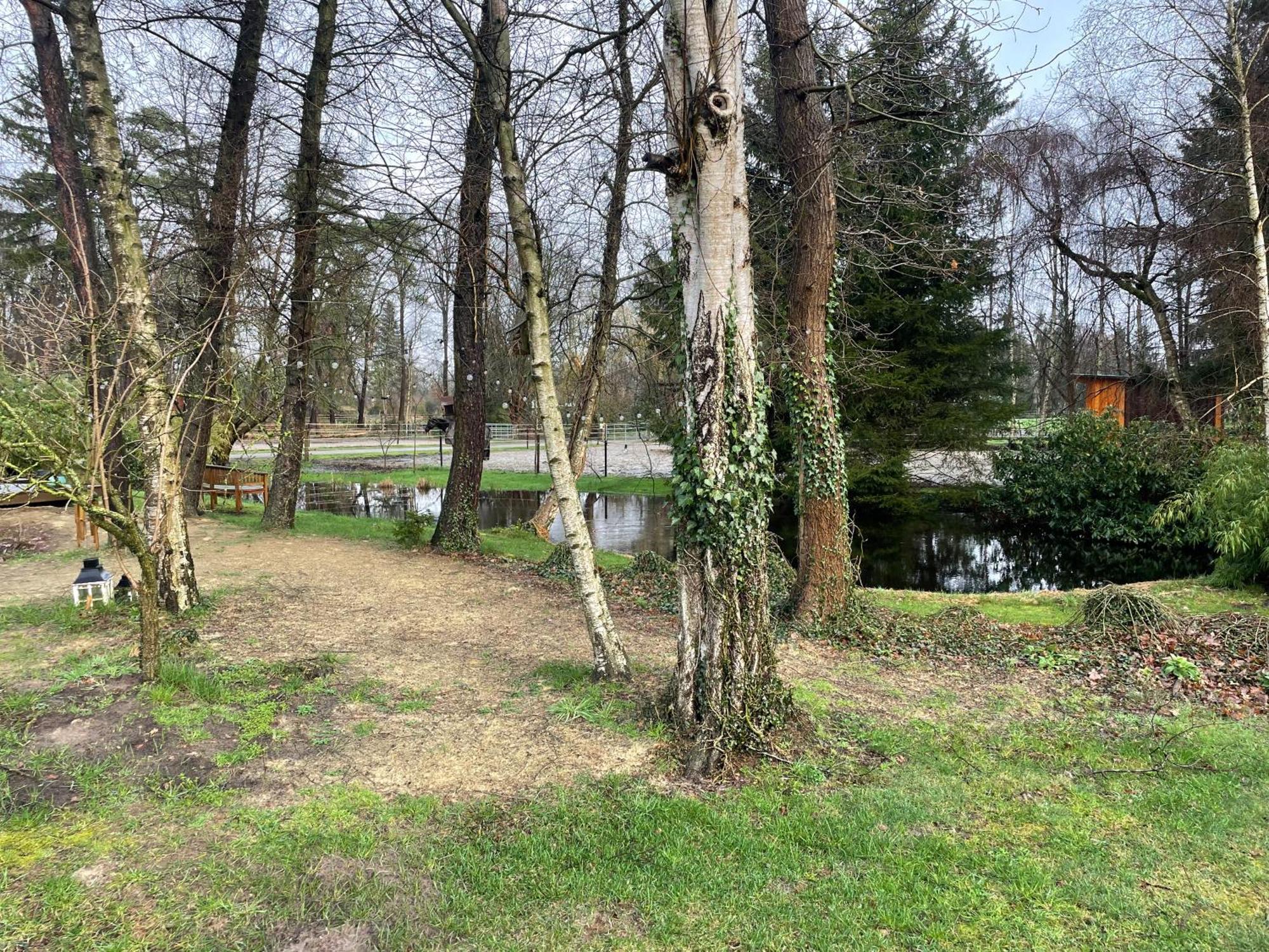 Haus Am Teich Apartment Worpswede Luaran gambar